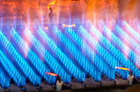 Deepdale gas fired boilers